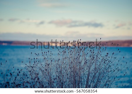 Ocean and grass background landscape moody feeling