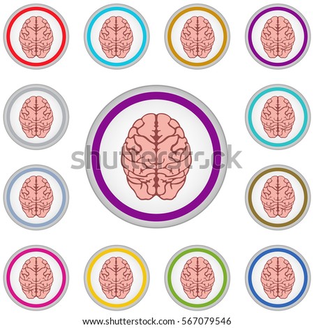 Vector internet button set with brain sign isolated on a white background
