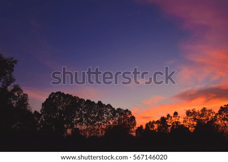 sky, sunrise, sunset, background