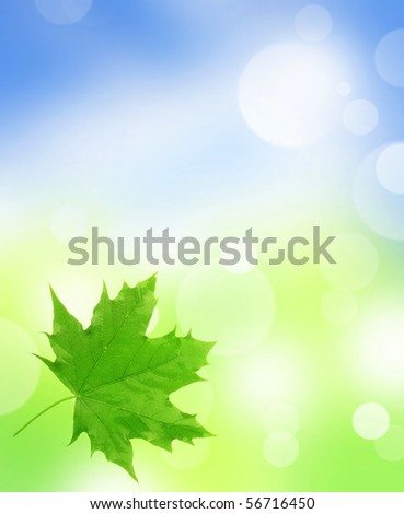romantic bokeh background with maple leaf