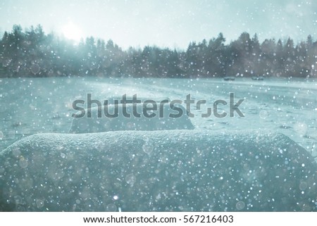 background winter forest covered with snow