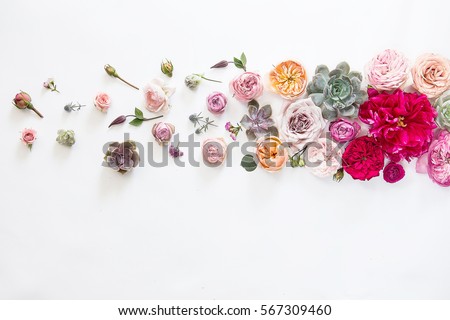 Flower background horizontal photo on white background