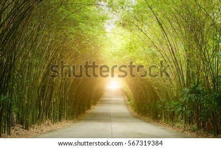 Road through tunnel of bamboo tree forest and light at the end of tunnel - concept Royalty-Free Stock Photo #567319384