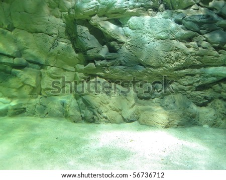 underwater rock