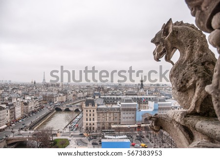 Paris aerial view with Chimera of Notre Dame