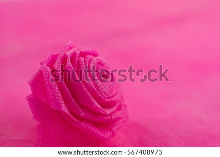 Pink rose on Sweet color background for Valentine festival