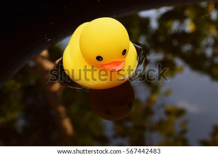 duck toy color yellow  in pond water with soft focus background