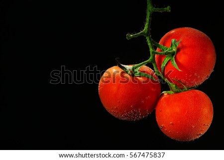 Tomatoes on a branch in water on a black background