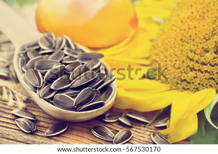 Spoon of sunflower seeds on oil and plant background, selective focus, toned