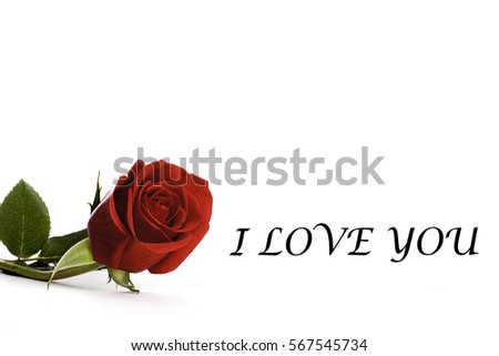 Red rose with the words I Love You making a simple lover's calling card image. Space for additional text or photographs, or use as a simple gift or calling card.