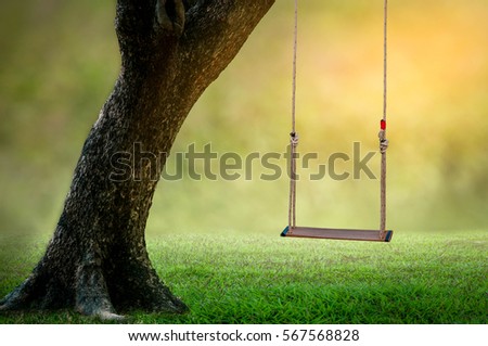 Example swings teddy bear sitting pretty.Swing is a beautiful shade trees.