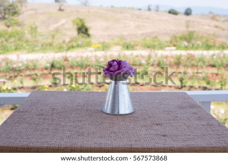 Purple rose in a zinc vase