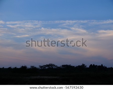 Trees and Blue Sky background, Take the photo of nature in the evening