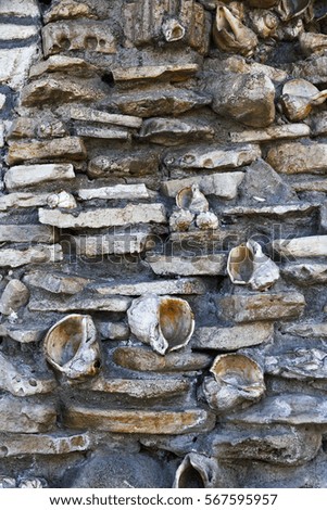 Wall lined with shells,  background texture
