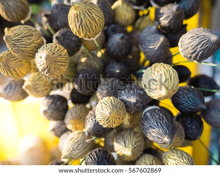 Close up artificial flowers or seeds dried fruits , Beautiful Flower Artificial. Selective focus.
