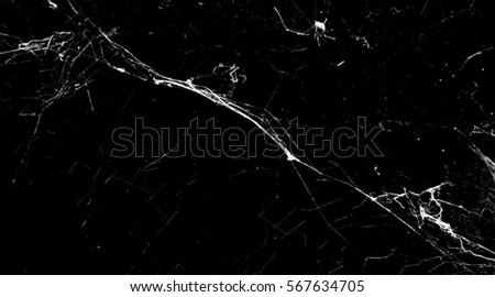 cobweb or spider web isolated on background