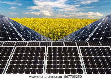 Photo collage of solar panels against the crops background - conceptual image