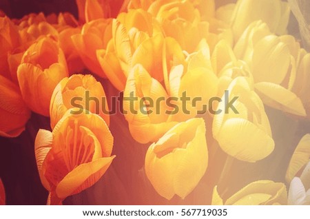 Valentines day background with flower, vintage filter image