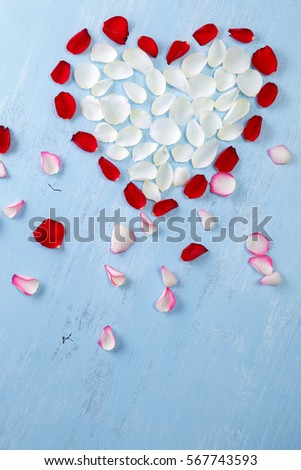 Heart of red, white rose petals on blue painted rustic background. Valentines day or love concept. Fresh natural flowers. Dirty grunge wooden board.