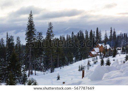 Forester's hut in the snowy mountain forest. Colorful winter sunrise in Carpathians, Happy New Year celebration concept. Artistic style post processed photo