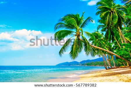 Beautiful beach. View of nice tropical beach with palms around. Holiday and vacation concept.  Tropical beach. Royalty-Free Stock Photo #567789382