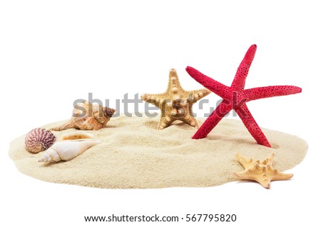 Sea shells and sand, isolated on white background Royalty-Free Stock Photo #567795820