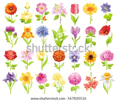 Garden wild flower icon set. Floral icons, summer spring flat symbol isolated white background. Easter Mothers day Birthday. Vector illustration. Rose lily daisy iris tulip poppy pansy crocus clover