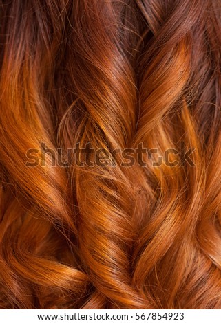 Beautiful, healthy, long, curly, red hair close up.  Create curls with curling irons. Professional hair care.