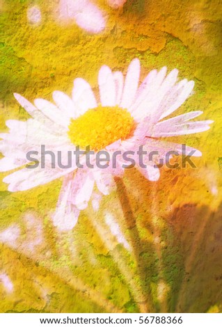 daisy - vintage stylized floral picture with patina texture