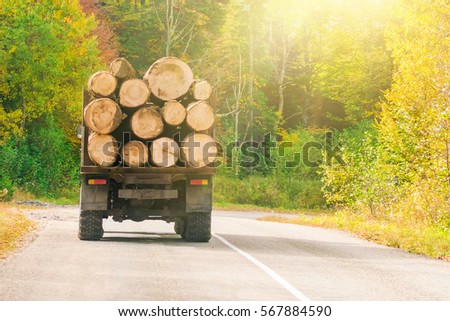 Truck with logs on an asphalt road in the sunlight Royalty-Free Stock Photo #567884590