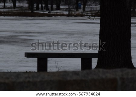 Nature Bench River View
