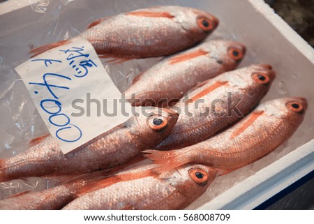 Here in this picture we can see how these red colored delicious fishes are being packed inside a box and covered with ice to keep it fresh.