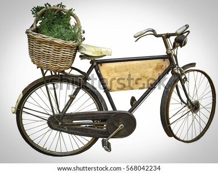 old bicycle decorate in the garden isolated