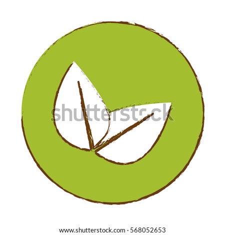 Color leaves eco symbol design, vector illustration