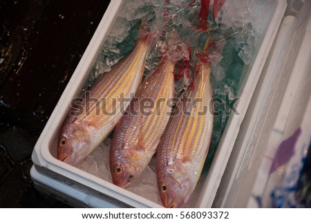 This picture shows three identical fishes kept inside a box and tails are partially covered with ice and it is ready to be sold.