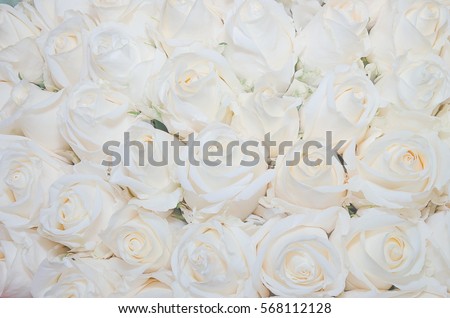 Bouquet of white roses. Top view close-up. For your design.