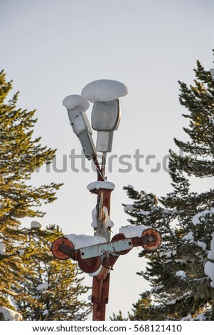 Ski trail in the forest. Street lamp and snow. Winter illustration.