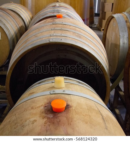 Oak barrels filled with beer at local brewery