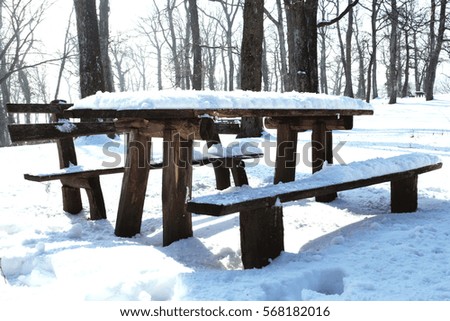 Park bench covered with snow 