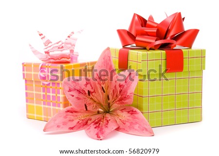 Pink lily and gift boxes on a white background
