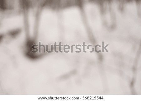 Background in the winter forest, texture white
