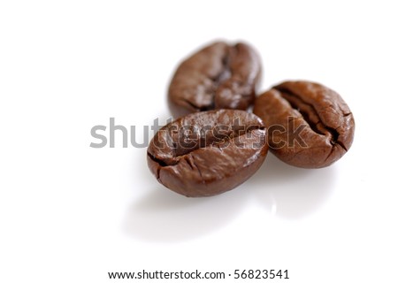 Three Roasted coffee beans shot in the studio