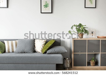Bright room interior with sofa and rack