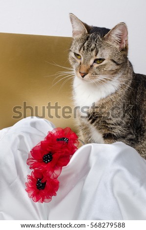 cat and flower headband