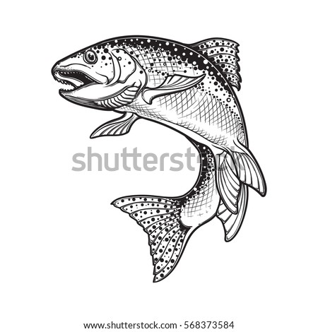 Realistic intricate drawing of the rainbow trout jumping out. Black and white sketch isolated on white background. Concept art for horoscope, tattoo or colouring book. EPS10 vector illustration