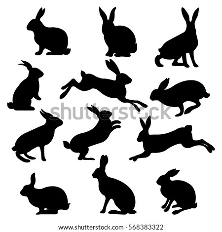 Rabbit Set, Isolated On White Background Royalty-Free Stock Photo #568383322