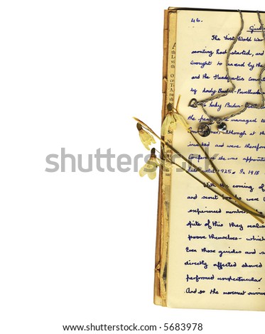 letters, pages of a diary and flowers framed on one edge with a white background