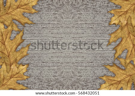 beige background with a border of yellow autumn leaves closeup