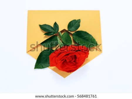 Red Rose in a yellow envelope.