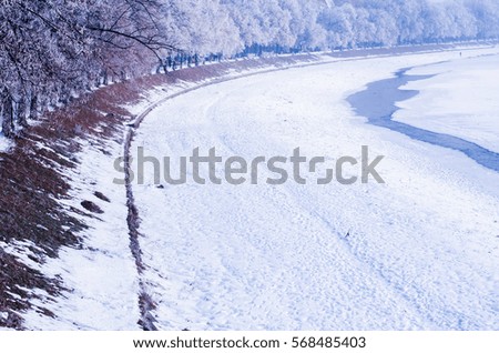 river, trees, winter